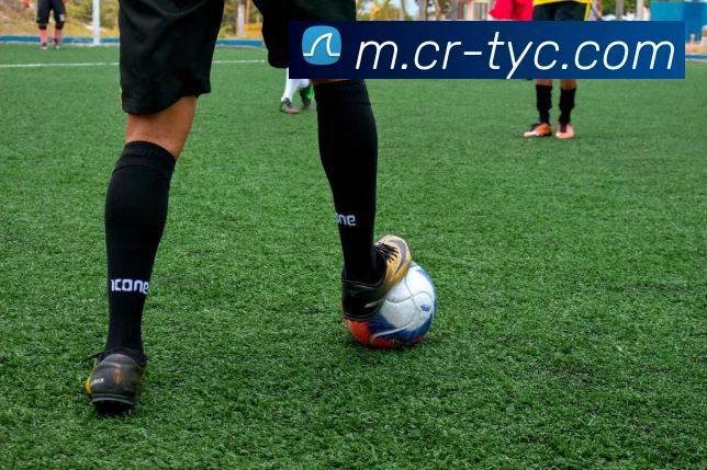 多媒体互动体验